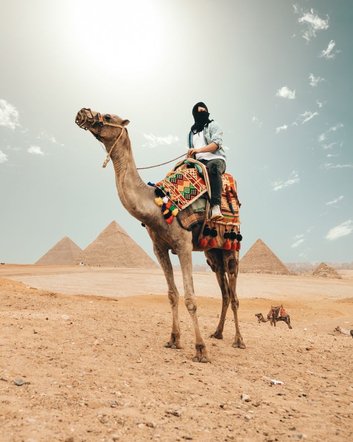 From below of faceless traveler riding camel during excursion to sandstone pyramids in Egypt